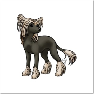 Dog - Chinese Crested - Hairless - Black and White Posters and Art